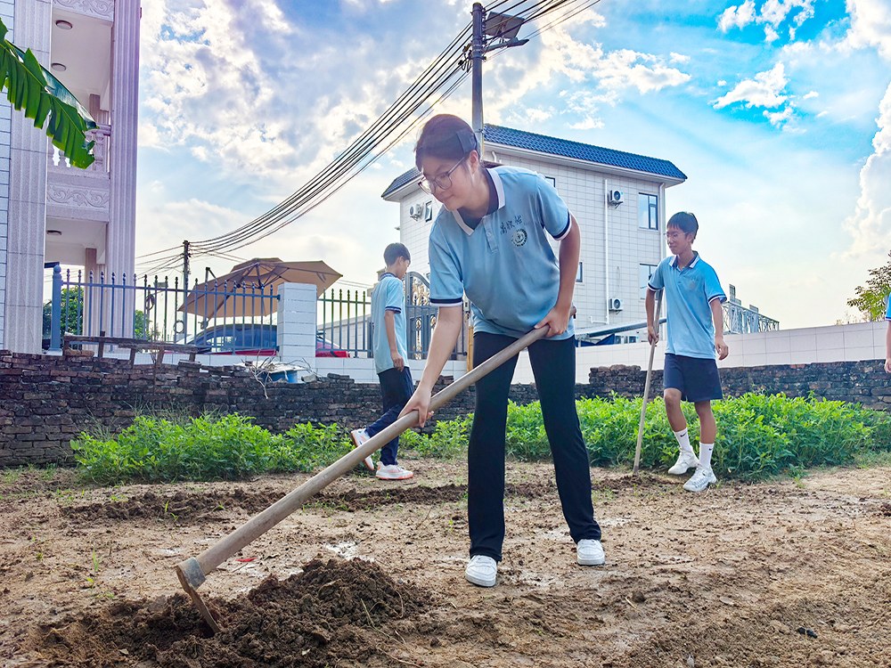 遂宁比较好的叛逆孩子改变学校具体位置在哪